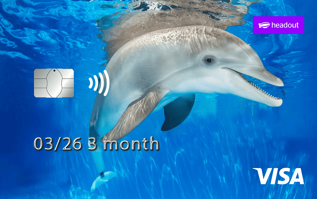 3 Month Card